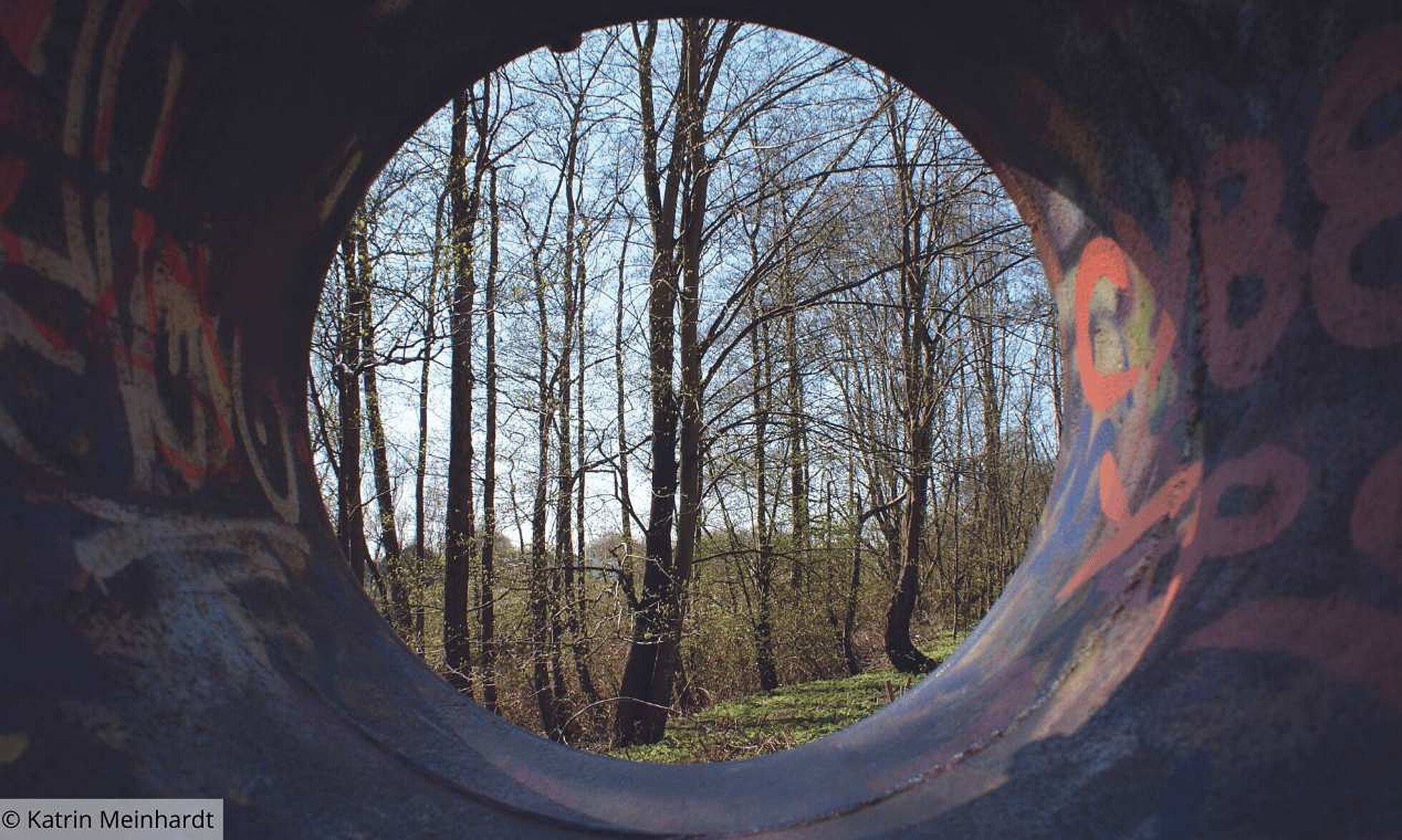 Woran erkenne ich eine Depression? Blick durch einen Tunnel auf Bäume