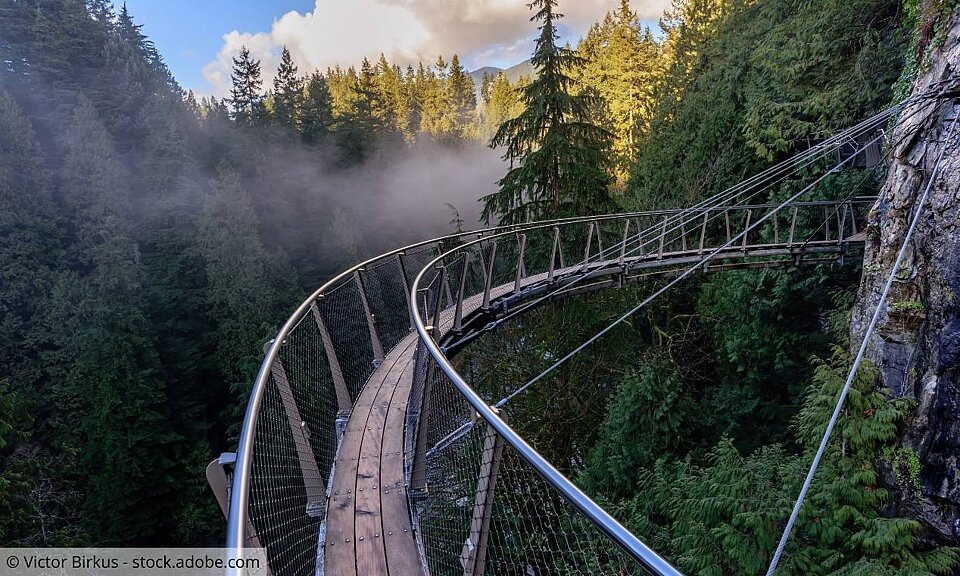Demenz im Alter Brücke über einen Abrgund macht eine Kurve