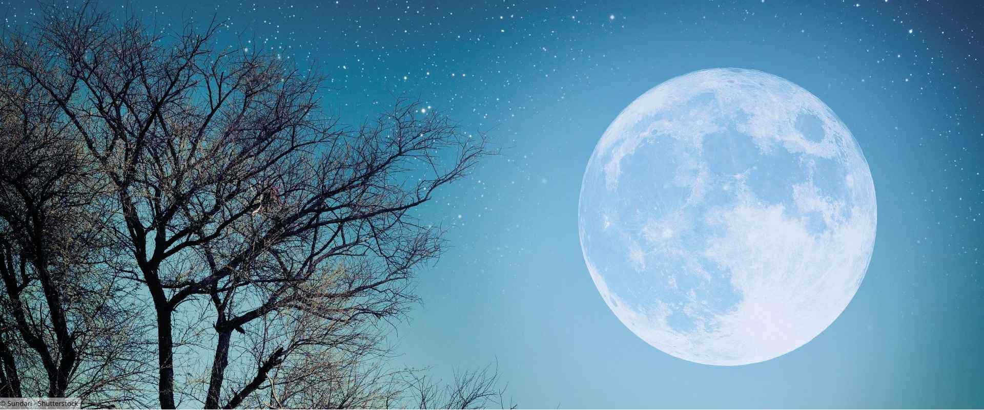 Gesunder Schlaf im Alter Vollmond mit Baum